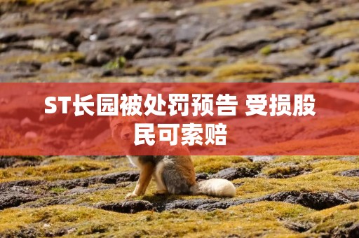 ST长园被处罚预告 受损股民可索赔
