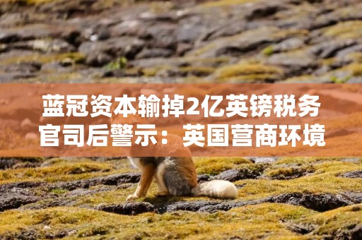 蓝冠资本输掉2亿英镑税务官司后警示：英国营商环境恶劣
