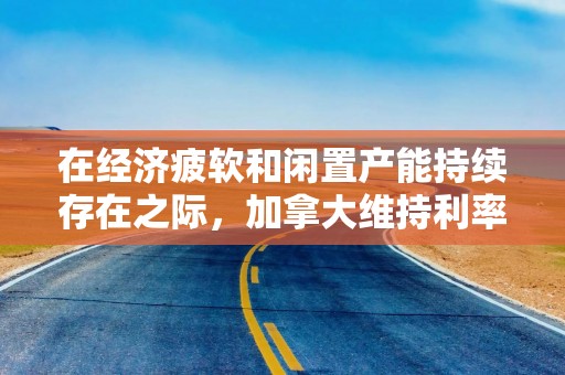 在经济疲软和闲置产能持续存在之际，加拿大维持利率不变