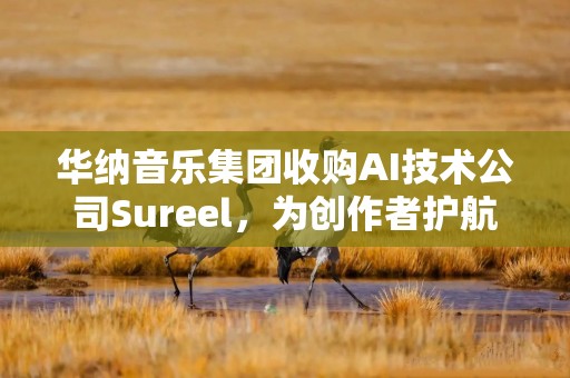 华纳音乐集团收购AI技术公司Sureel，为创作者护航AI时代权益