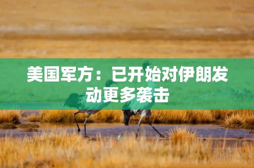 美国军方：已开始对伊朗发动更多袭击
