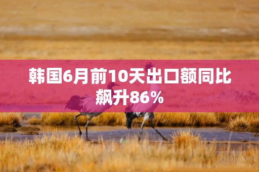 韩国6月前10天出口额同比飙升86%