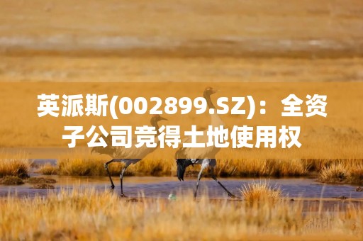 英派斯(002899.SZ)：全资子公司竞得土地使用权