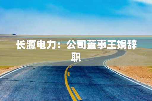 长源电力：公司董事王娟辞职