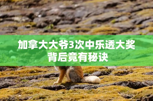 加拿大大爷3次中乐透大奖 背后竟有秘诀