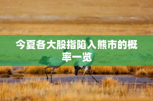 今夏各大股指陷入熊市的概率一览