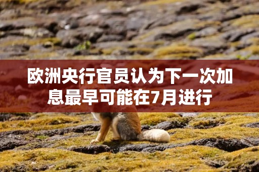 欧洲央行官员认为下一次加息最早可能在7月进行