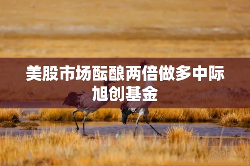 美股市场酝酿两倍做多中际旭创基金