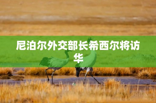 尼泊尔外交部长希西尔将访华
