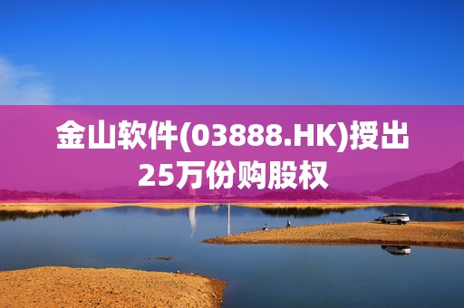 金山软件(03888.HK)授出25万份购股权