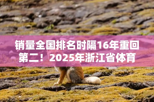 销量全国排名时隔16年重回第二！2025年浙江省体育彩票工作会议在温州召开