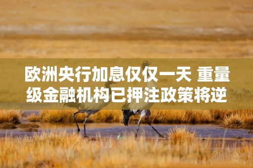 欧洲央行加息仅仅一天 重量级金融机构已押注政策将逆转