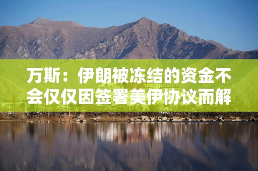 万斯：伊朗被冻结的资金不会仅仅因签署美伊协议而解冻