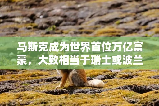 马斯克成为世界首位万亿富豪，大致相当于瑞士或波兰一年的GDP