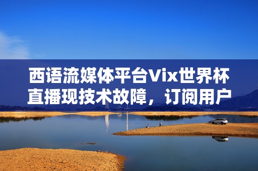 西语流媒体平台Vix世界杯直播现技术故障，订阅用户高呼退款