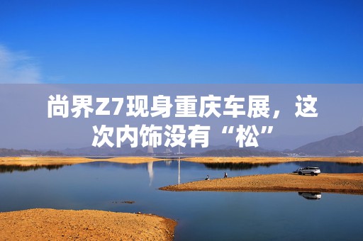 尚界Z7现身重庆车展，这次内饰没有“松”