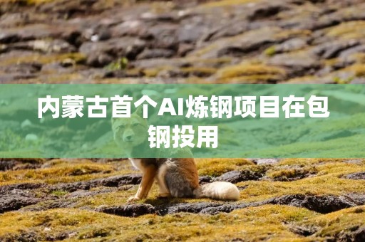 内蒙古首个AI炼钢项目在包钢投用