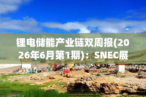 锂电储能产业链双周报(2026年6月第1期)：SNEC展储能订单不断 AIDC储能蓬勃发展