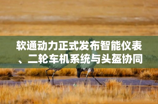 软通动力正式发布智能仪表、二轮车机系统与头盔协同解决方案