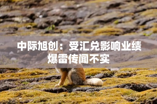 中际旭创：受汇兑影响业绩爆雷传闻不实