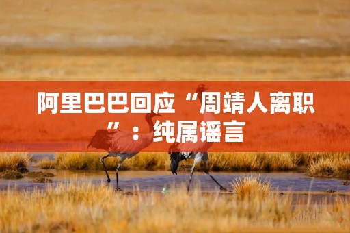 阿里巴巴回应“周靖人离职”：纯属谣言