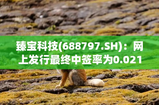 臻宝科技(688797.SH)：网上发行最终中签率为0.0217%