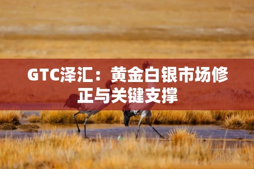 GTC泽汇：黄金白银市场修正与关键支撑