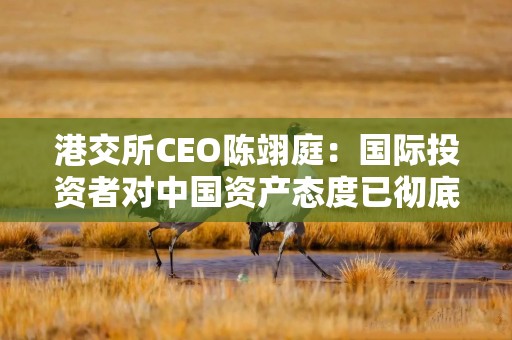 港交所CEO陈翊庭：国际投资者对中国资产态度已彻底转变，布局中国市场成为共识