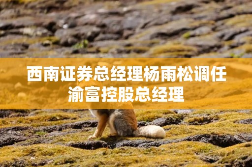 西南证券总经理杨雨松调任渝富控股总经理