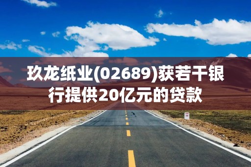 玖龙纸业(02689)获若干银行提供20亿元的贷款