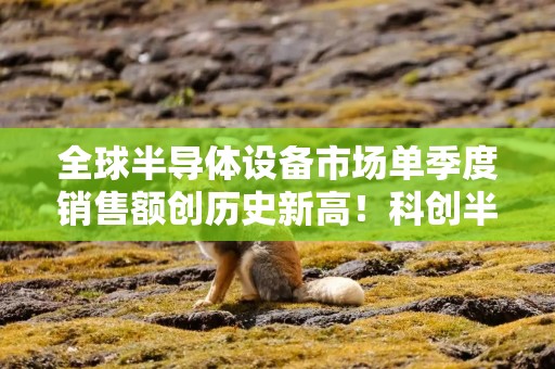 全球半导体设备市场单季度销售额创历史新高！科创半导体设备ETF华泰柏瑞（588710）单日逆势“吸金”6800万