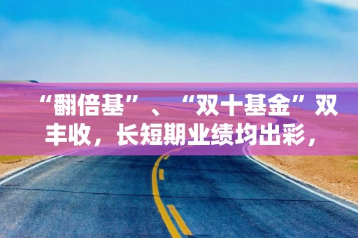 “翻倍基”、“双十基金”双丰收，长短期业绩均出彩，中欧基金投研实力硬核兑现