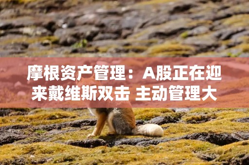 摩根资产管理：A股正在迎来戴维斯双击 主动管理大有可为