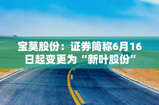 宝莫股份：证券简称6月16日起变更为“新叶股份”