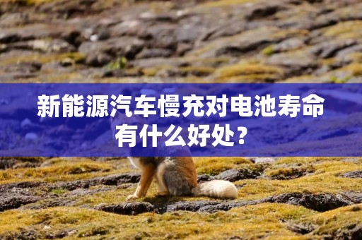 新能源汽车慢充对电池寿命有什么好处？