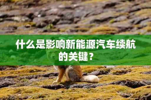 什么是影响新能源汽车续航的关键？