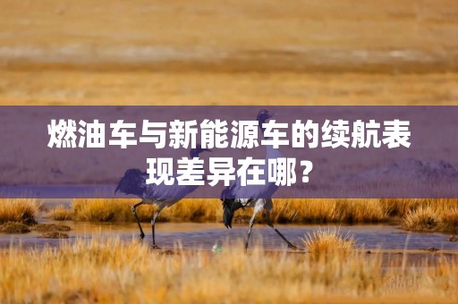 燃油车与新能源车的续航表现差异在哪？