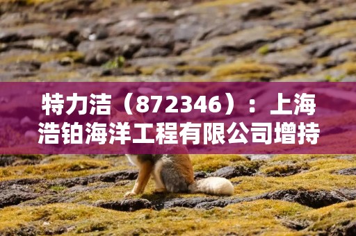 特力洁（872346）：上海浩铂海洋工程有限公司增持公司股份约17万股