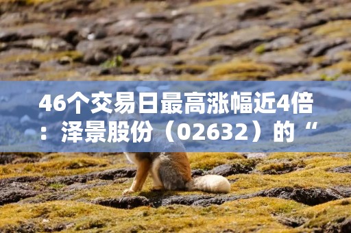46个交易日最高涨幅近4倍：泽景股份（02632）的“冲通”戏码