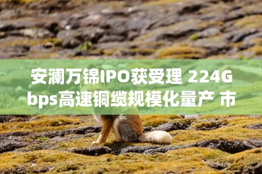 安澜万锦IPO获受理 224Gbps高速铜缆规模化量产 市占率跻身全球前三