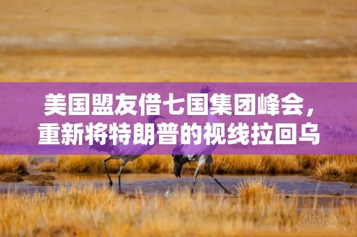 美国盟友借七国集团峰会，重新将特朗普的视线拉回乌克兰问题
