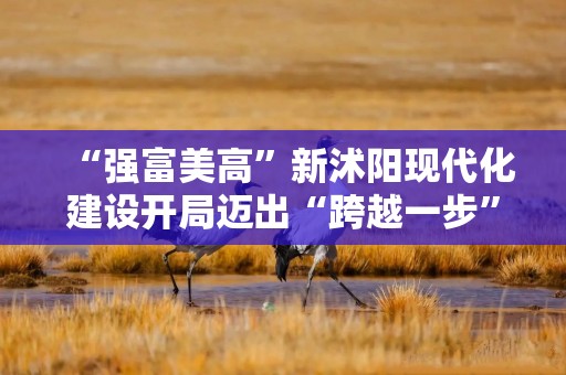 “强富美高”新沭阳现代化建设开局迈出“跨越一步”