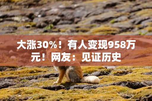 大涨30%！有人变现958万元！网友：见证历史