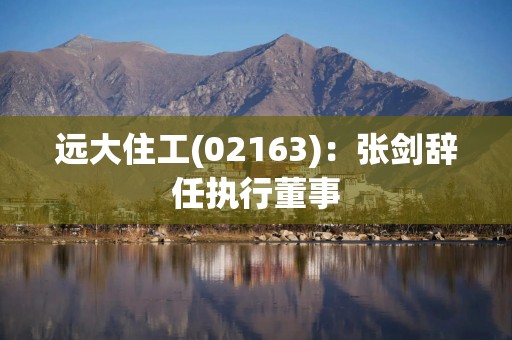 远大住工(02163)：张剑辞任执行董事