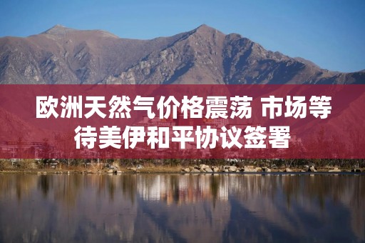 欧洲天然气价格震荡 市场等待美伊和平协议签署