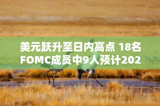 美元跃升至日内高点 18名FOMC成员中9人预计2026年将加息