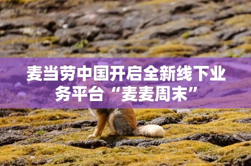 麦当劳中国开启全新线下业务平台“麦麦周末”