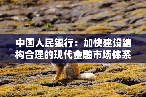 中国人民银行：加快建设结构合理的现代金融市场体系