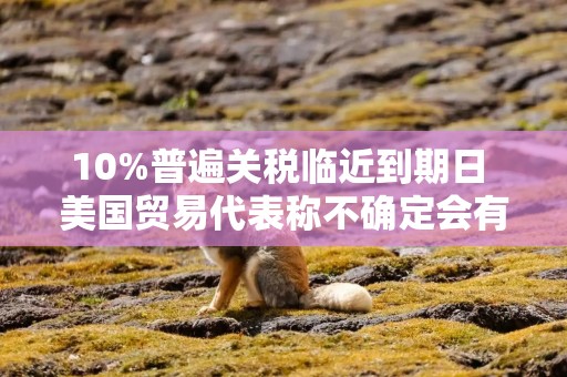 10%普遍关税临近到期日 美国贸易代表称不确定会有新措施完全替代