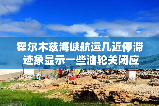 霍尔木兹海峡航运几近停滞 迹象显示一些油轮关闭应答器以隐藏行踪